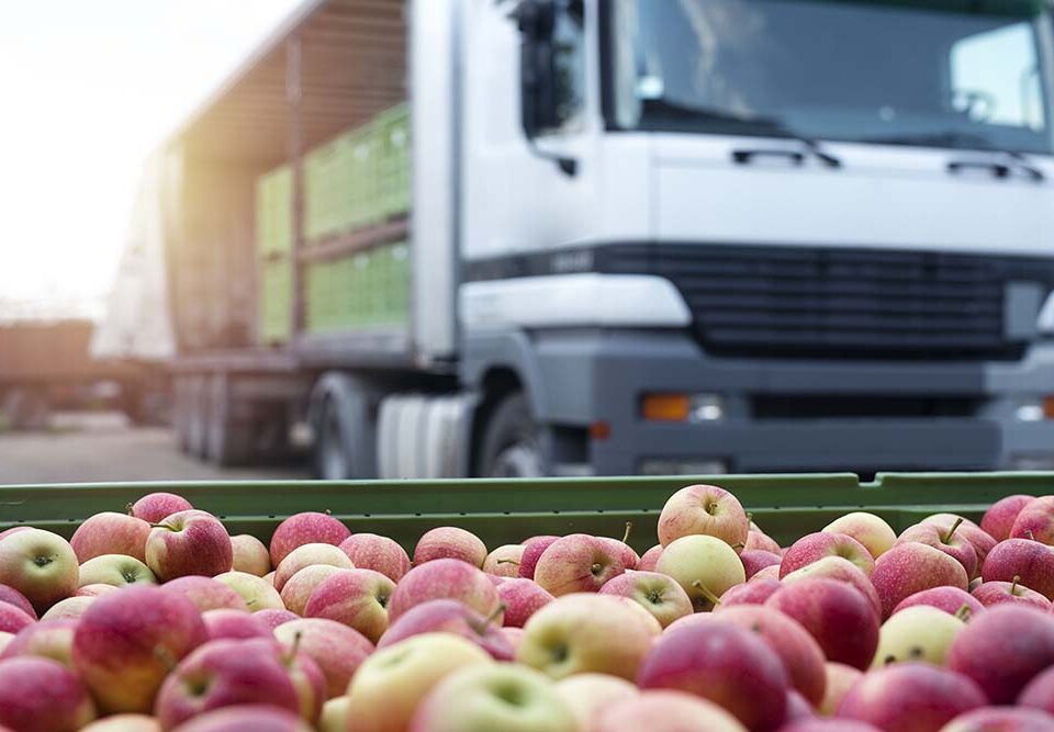 Découvrez la spécialité de TDF Transports : le transport alimentaire